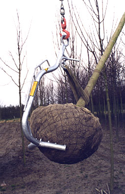 Kluithaak type II