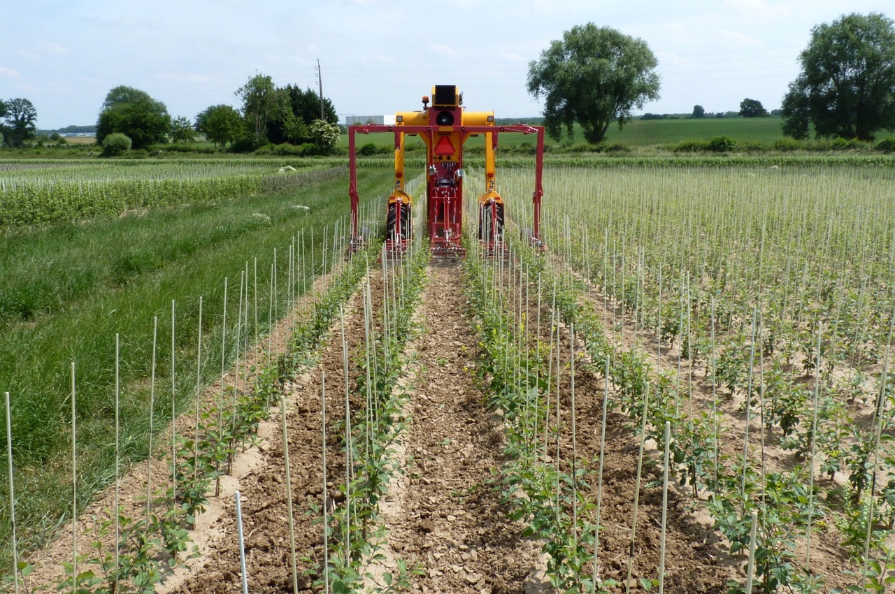 Vijf rijen schoffelen in een werkgang op harde leemgrond onmogelijk?