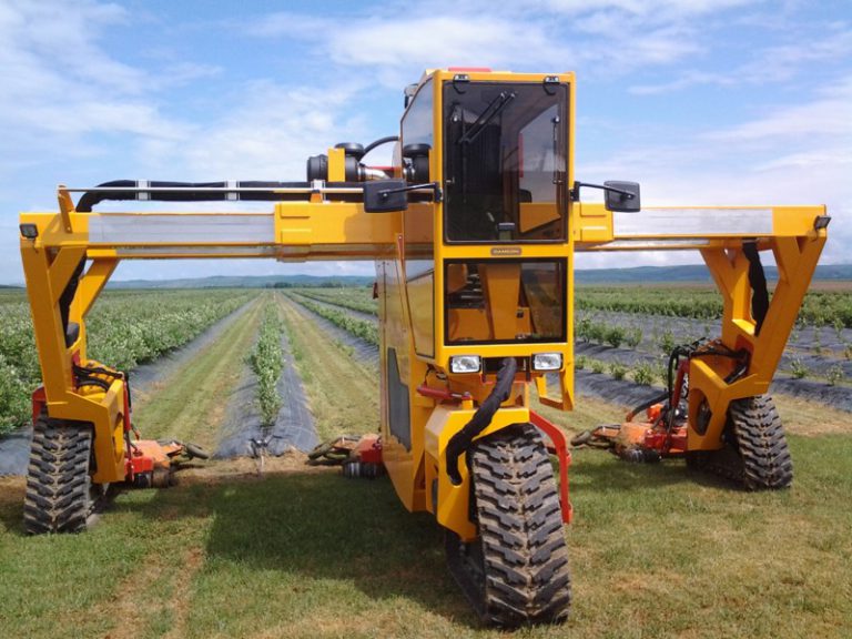 Multitrike portaaltractor voor blauwe bessen