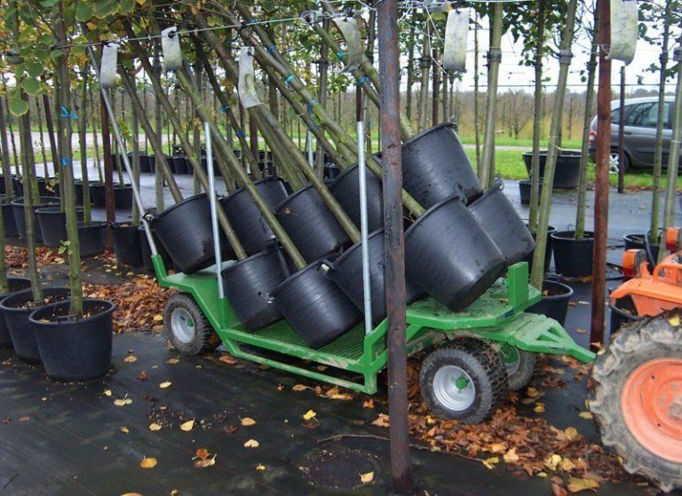 bomentransport oogstwagens