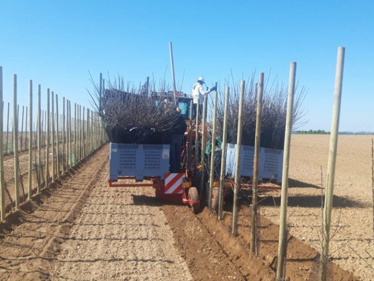 plantenvoorraadbakken PL-40 F1 plantmachine