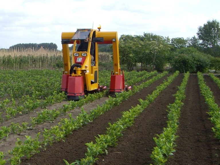 portaaltractor cultivators 3 rijen - Multitrike portaaltractor