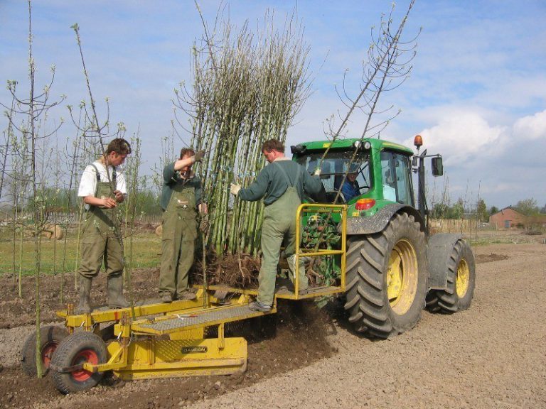 PL-40 plantmachine