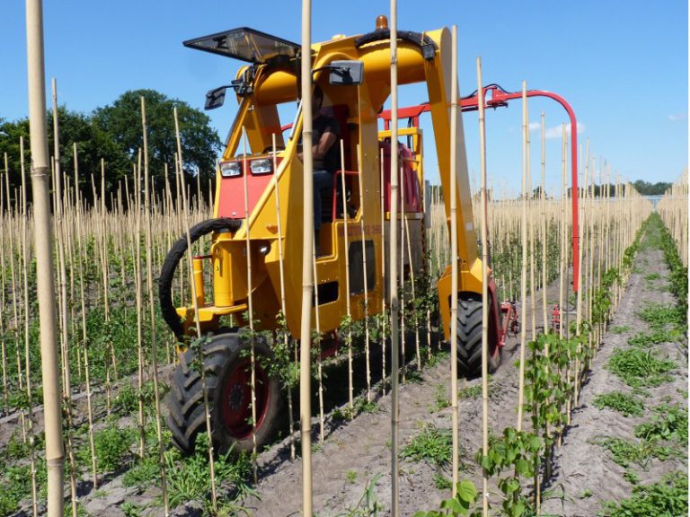 voor jonge laanbomen - Multitrike portaaltractor