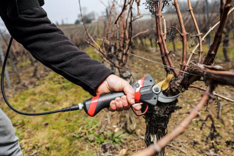 De nieuwe Electrocoup F3020 elektrische snoeischaar