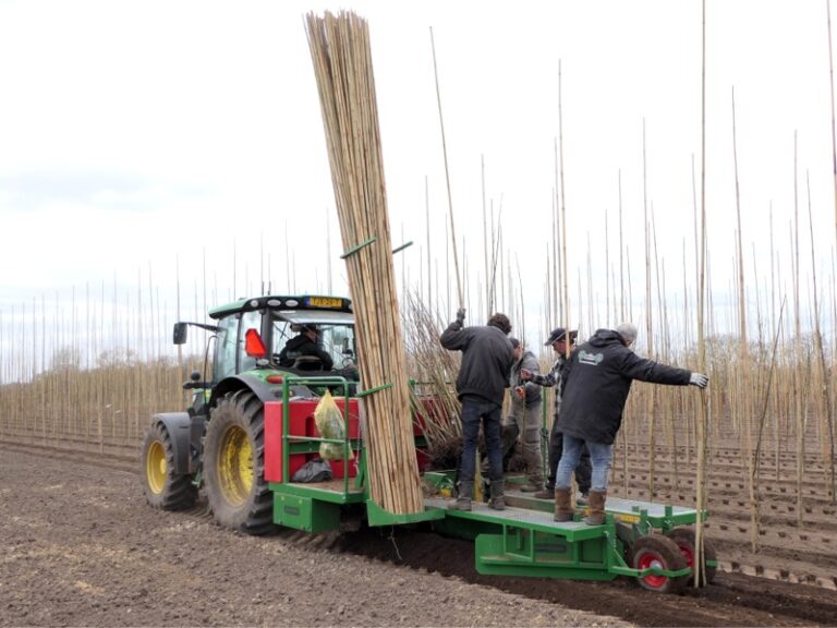 HSD-IW stokkenspuit in plantmachine categorie