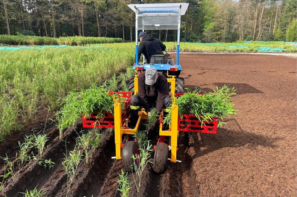 PL-10 plantmachine bamboeplanten planten