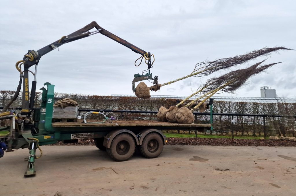 Damcon hydraulische kluitlaadhaak HK-800 R