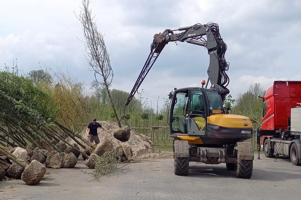 Kluithaak compact type BLC