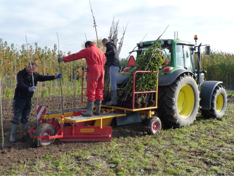 Damco PL-40 plantmachine