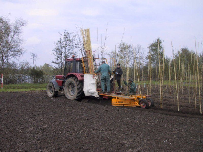 stokkensteker op een plantmachine