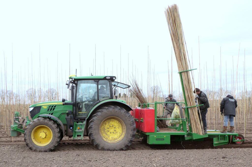 Gaten steken (met water), planten en watergeven