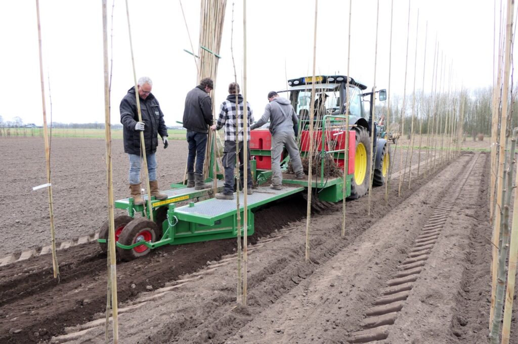 Gaten steken (met water), planten en watergeven